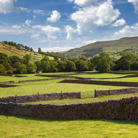 Enjoy long hikes through the stunning scenery of the Yorkshire Dales National Park with your dogs – the circular walk along Leyburn Shawl starts a stone's throw from your front door