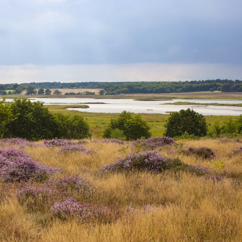Explore the beautiful scenery of Suffolk