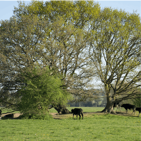 Head further inland for gorgeous countryside walks