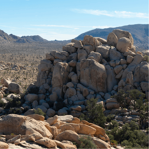 Located just half an hour from Joshua Tree National Park