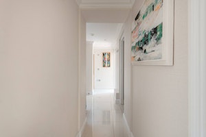 Peter Pan image 8