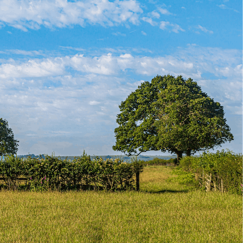 Stay in the heart of the Sussex countryside, just a five-minute drive from Hailsham