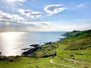 Ripples in the Sea image 11