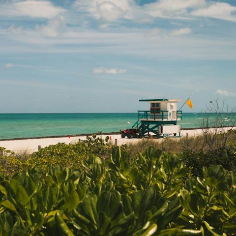 Spend the day at Virginia Key Beach,  a twenty-minute drive away