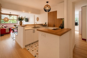 Javel Lull image 10