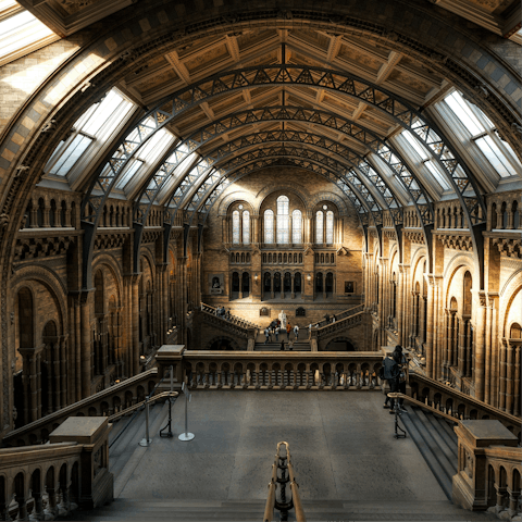 Spend the day at the Natural History Museum, a ten-minute walk away