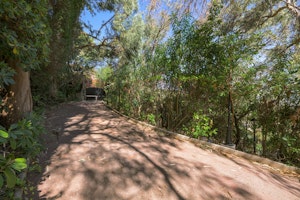 Riviera Shine image 8