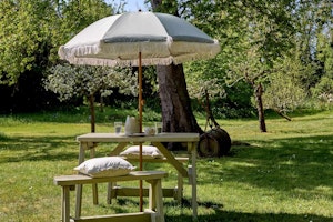 Orchard & Coach image 15