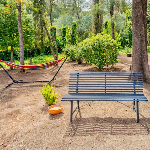 Find a quiet corner in the grounds to enjoy some shaded reading