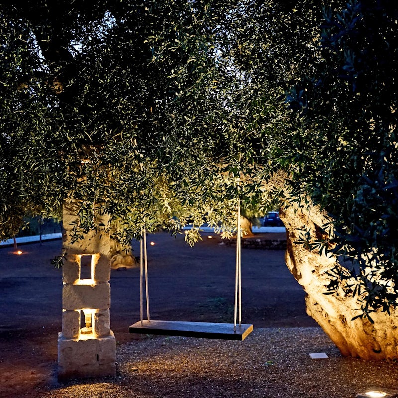 Have fun or enjoy some peaceful you-time on the idyllic tree swing