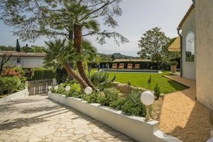 The Lemon Trees image 6
