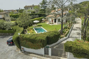 The Lemon Trees image 3