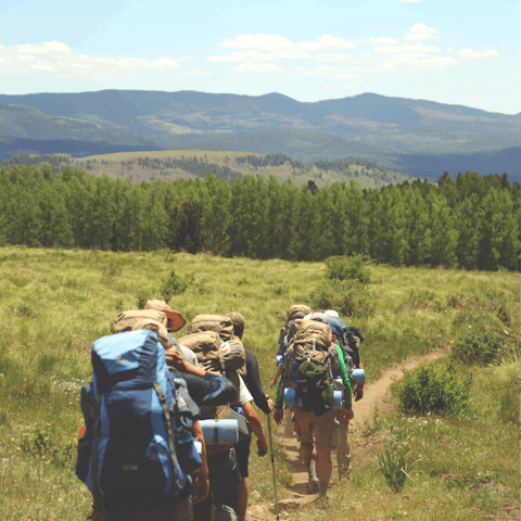 Discover the beauty of the Sierra de las Nieves National Park, minutes away