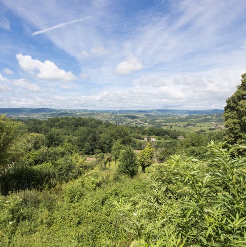 Go for a walk in the countryside