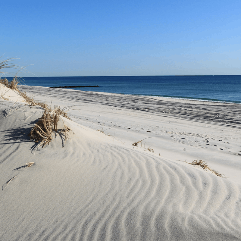 Walk straight onto the beach from your home