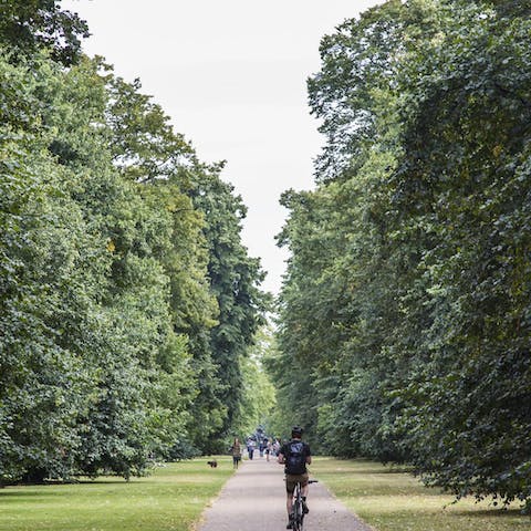 Cycle down Hyde Park's leafy paths