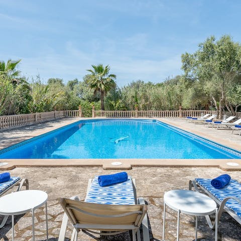 Relax by the pool surrounded by trees and palms