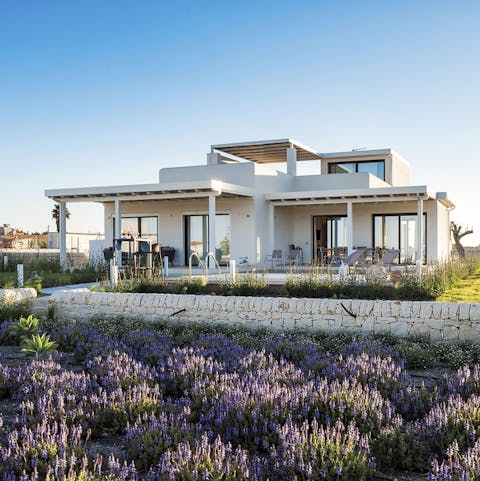 Sunbathe amid the aroma of lavender