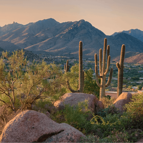 Hike along the McDowell Sonoran Preserve Gateway Trail