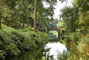 A Common English Song image 8