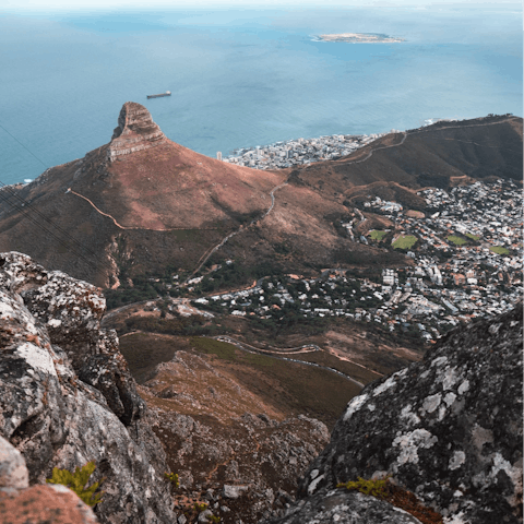 Drive ten minutes to take in the views from Table Mountain