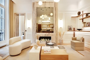 Elegant Soul image 11