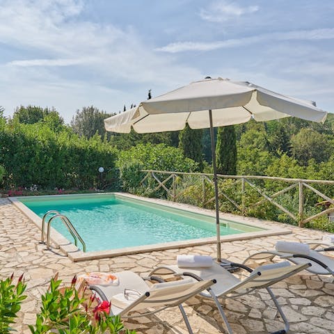 Lounge by the crystalline pool, occasionally dipping in for a swim