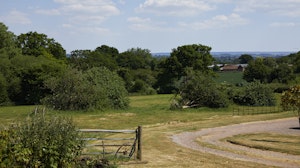 Wood & Stone image 15
