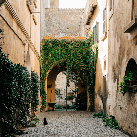 Discover the charming village of San Donato in Poggio a short walk away