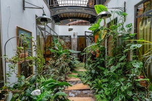 Jungle & Brick image 11