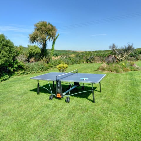 Play a round of table tennis on the lawn
