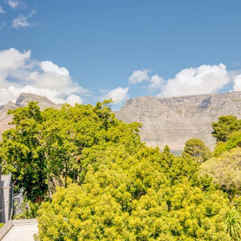 Gaze at the mountains across the greenery