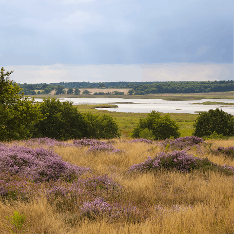 Hop in the car and drive forty minutes to the picturesque Suffolk Heaths