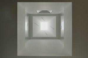 The Polychrome image 15