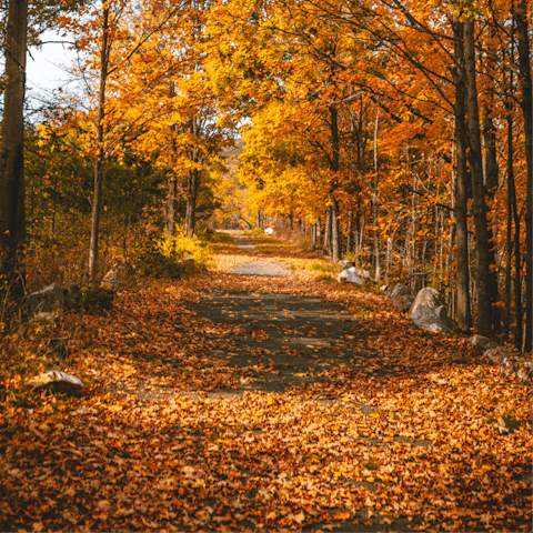Visit the beautiful Mohonk Preserve, a short drive away