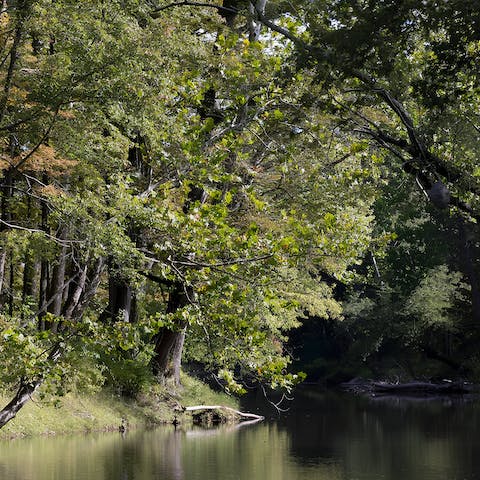 Go for a hike through this home's grounds to Esopus Creek
