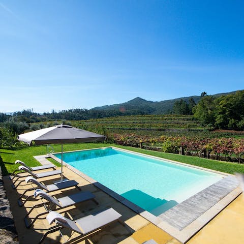 Soak up your gorgeous countryside surroundings from around the pool