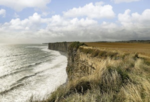 The Valley of Love image 14