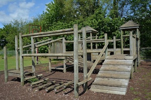 The Wild Goose image 10