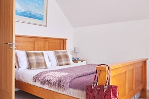 The Wild Goose image 8