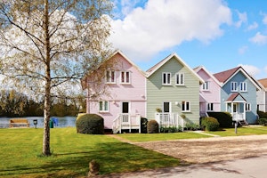 The Wild Goose image 1