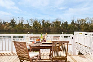 The Wild Goose image 2