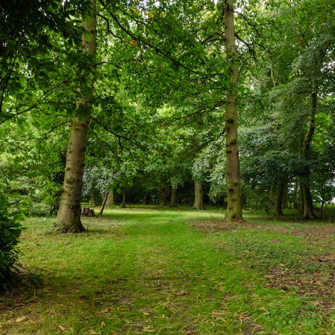 Explore the walking trails surrounding this rural home