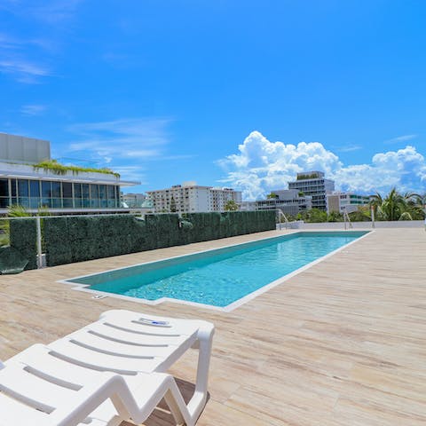 Take a dip in the shared rooftop pool