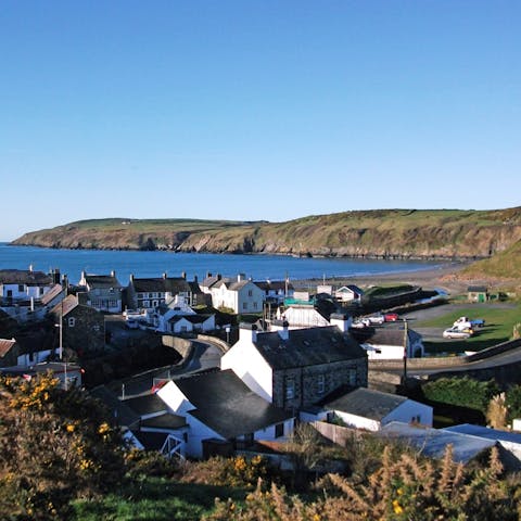 Leave Welsh village life behind and catch a boat to Bardsey Island for the afternoon