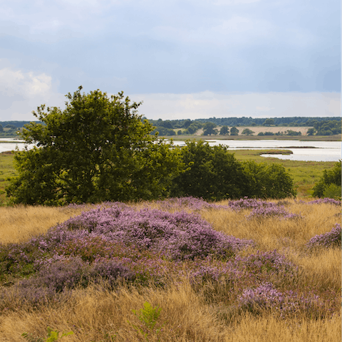 Explore the surrounding marshes and heaths of the Suffolk countryside on foot or bike