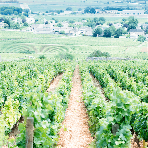 Stay in Baune, right in the heart of the Burgundy wine region