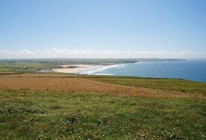 Virginia image 13