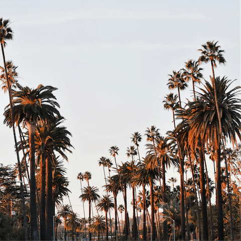 Drive down to Beverly Hills in  and indulge in some retail therapy
