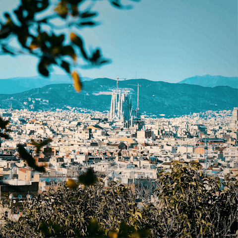 Explore the historic city of Barcelona